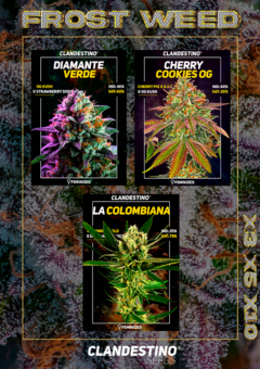 FROST WEED x3 + 1 DE REGALO!