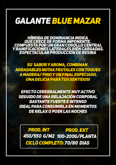 Imagen de grand tesor auto x3