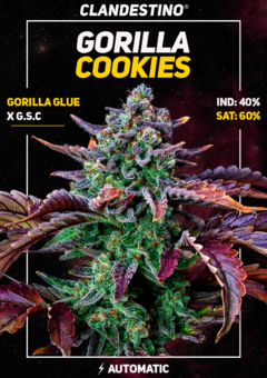 gorilla cookies x3 + 1 DE REGALO!