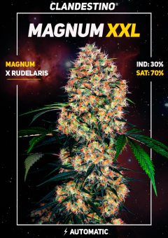 manum xxl x10 - comprar online