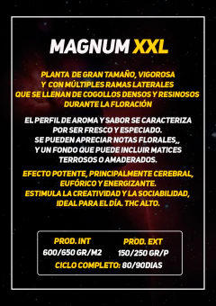 manum xxl x10 en internet