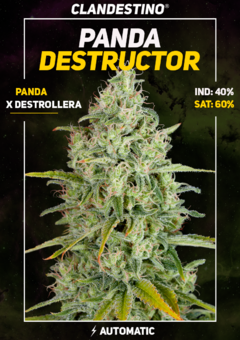 Panda Destructor x3 + 1 DE REGALO!