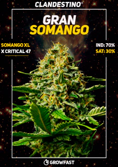 gran somango x5