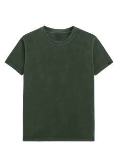 camiseta estonada básica verde