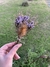 Bouquet Lila