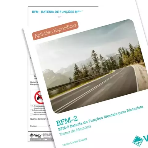 BFM-2 -TEMPLAM - COLEÇÃO - BATERIA DE FUNÇÕES MENTAIS PARA MOTORISTAS - ED VETOR - comprar online