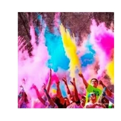 Polvo Holi