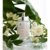 SABONETEIRA ESSÊNCIA VERBENA 250ML na internet