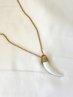 Colar Pingente Dente Branco - comprar online