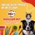 LATA ROYAL CANIN URINARY S/O 410G - loja online