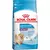 RACAO ROYAL CANIN MINI INDOOR JUNIOR 1KG
