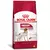 RACAO ROYAL CANIN MEDIUM ADULTO 15 KG
