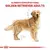 RACAO ROYAL CANIN GOLDEN RETRIVER AD 12KG na internet