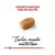 RACAO ROYAL CANIN MALTES ADULTO 2,5KG na internet