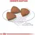 RACAO ROYAL CANIN MINI INDOOR ADULTO 2,5KG na internet