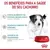 RACAO ROYAL CANIN MINI JUNIOR 2,5KG na internet