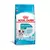 RACAO ROYAL CANIN MINI JUNIOR 7,5KG