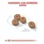 RACAO ROYAL CANIN MINI LIGHT 1KG na internet
