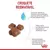 RACAO ROYAL CANIN MOTHER & BABY CAT 34 1,5 KG - MercadoPetOficial