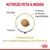 RACAO ROYAL CANIN POMERANIAN ADULT 1KG na internet