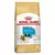 RACAO ROYAL CANIN SHIH TZU JUNIOR 1KG