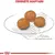 RACAO ROYAL CANIN X-SMALL ADULT 1 KG na internet
