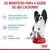 RACAO ROYAL CANIN X-SMALL JUNIOR 1KG na internet