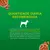 SACHE DOG CHOW ADULTO TDS/TAMANHOS CORDEIRO 100G - loja online
