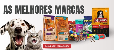 Carrossel 1