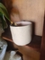Caneca Grutinha Piquenique da Capivara na internet
