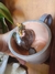 Caneca Grutinha Piquenique da Capivara