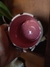 Imagem do Caneca Vaquinha