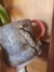 Caneca Gatinho na internet