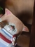 Copo Carentinho Gatinho de Blusinha na internet