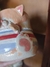 Copo Carentinho Gatinho de Blusinha na internet