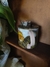 Imagem do Caneca Totoro