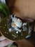 Caneca Totoro na internet