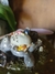 Caneca Totoro - loja online