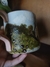 Caneca Totoro - comprar online