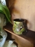 Caneca Chihiro