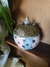 Imagem do Pote | Porta Treco Totoro
