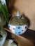 Pote | Porta Treco Totoro - comprar online