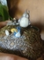 Imagem do Pote | Porta Treco Totoro