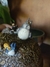 Pote | Porta Treco Totoro