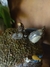 Pote | Porta Treco Totoro - comprar online