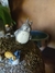 Pote | Porta Treco Totoro na internet