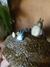 Pote | Porta Treco Totoro - Muô Studio