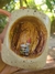 Caneca Grutinha Over The Garden Wall na internet