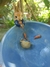 Cumbuca\Bowl Peter Rabbit