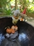 Cumbuca\Bowl Over The Garden Wall na internet